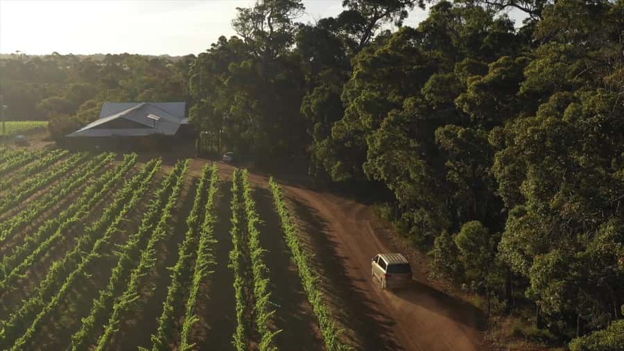 Hidden Gems Margaret River: Authentic Wine & Farm Experience - Who will get the most from this tour
