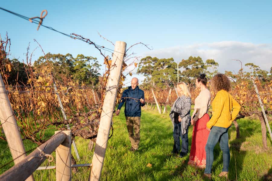 Hidden Gems Margaret River: Authentic Wine & Farm Experience - Booking details and practical tips