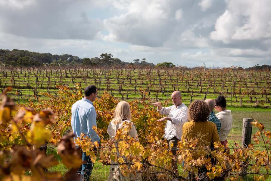 Hidden Gems Margaret River: Authentic Wine & Farm Experience - The farm morning begins with animals and scones