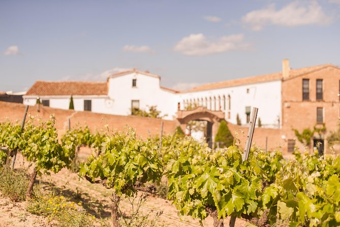 High-End Vineyard Escape: Cava, Tapas & Wine | Private Tour - What the private format really buys you