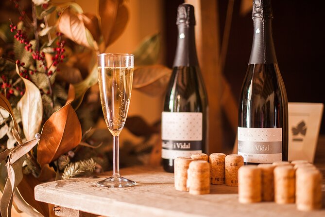 High-End Vineyard Escape: Cava, Tapas & Wine | Private Tour - Practical details before you book