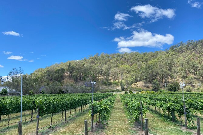Hinterland Heritage Wine Tour - Price, inclusions, and what you may still spend