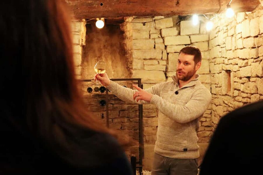 Historic Center of Dijon : Discovery Tasting Wine Burgundy - Key points before you book