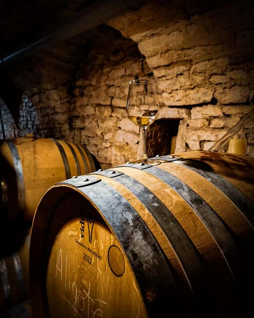 Historic Center of Dijon : Discovery Tasting Wine Burgundy - Five pours that cover Burgundy’s main colors