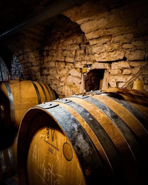 Historic Center of Dijon : Discovery Tasting Wine Burgundy - Learning a tasting method instead of simply drinking