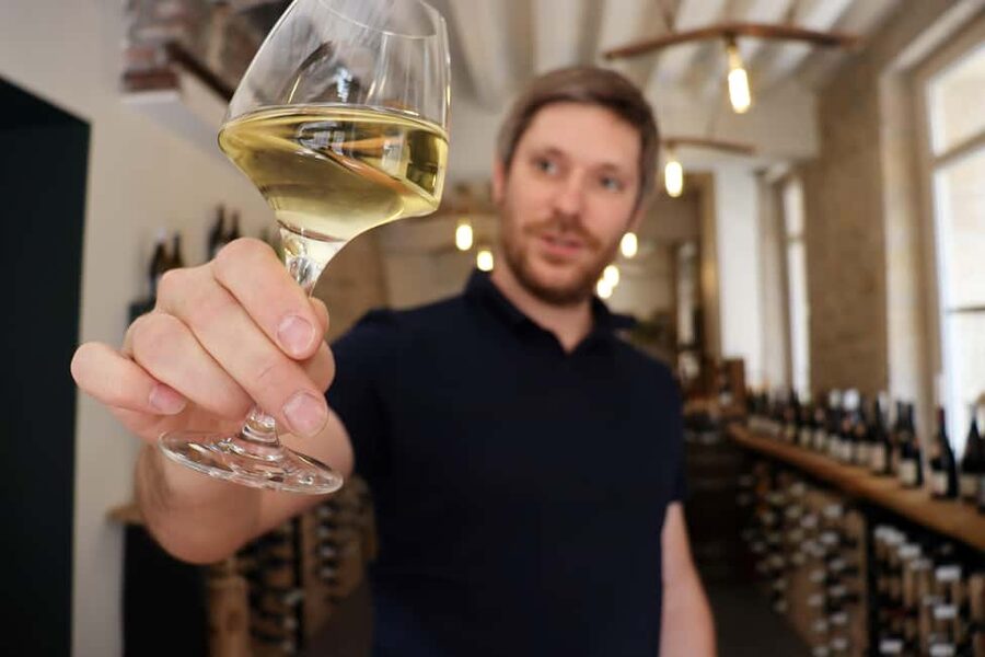 Historic Center of Dijon : Discovery Tasting Wine Burgundy - What the English option really means