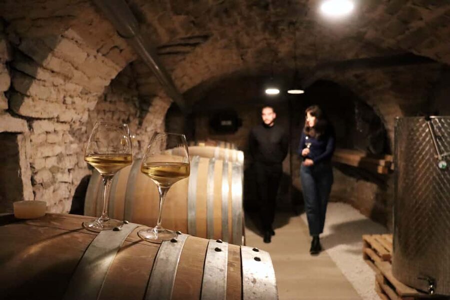 Historic Center of Dijon : Discovery Tasting Wine Burgundy - Inside the 16th and 18th-century cellars