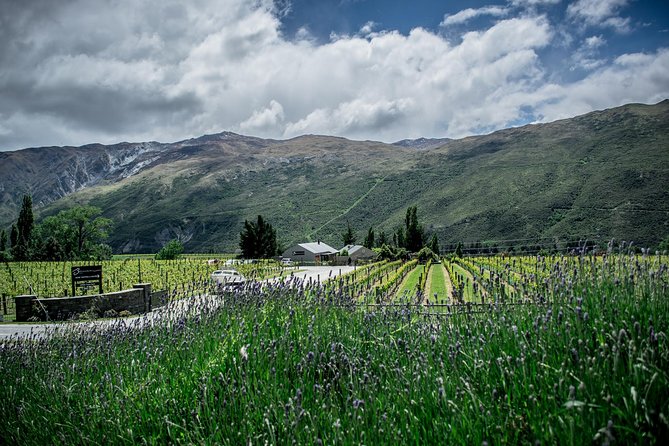 Hop on Hop off Wine Tours Queenstown - How many places can you really visit?