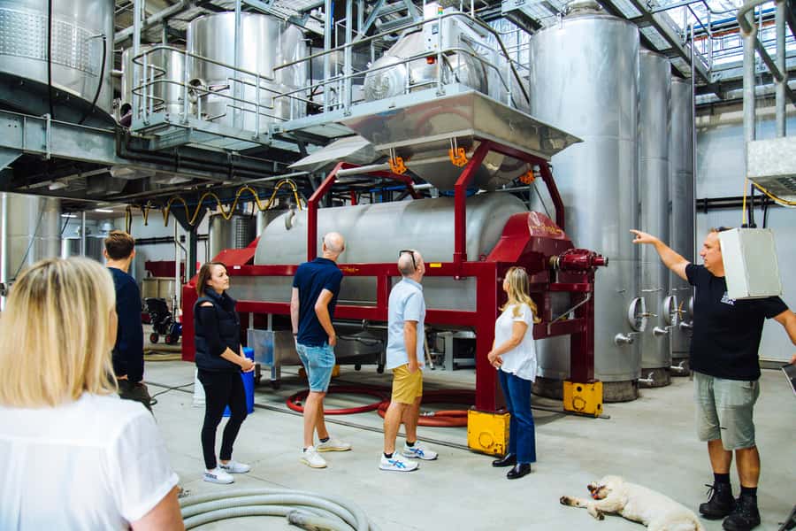 Hunter Valley: Wine, Spirits, and Cheese Tour with Lunch - Who should book this tour