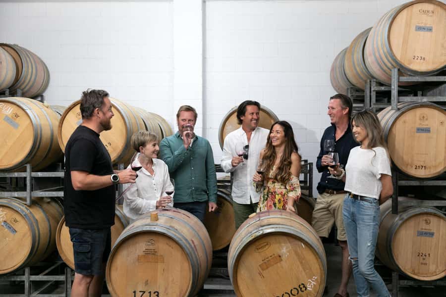 Hunter Valley: Wine Tour with 2-Course Lunch, Choc & Cheese - Why this day works for first-time Hunter Valley visitors