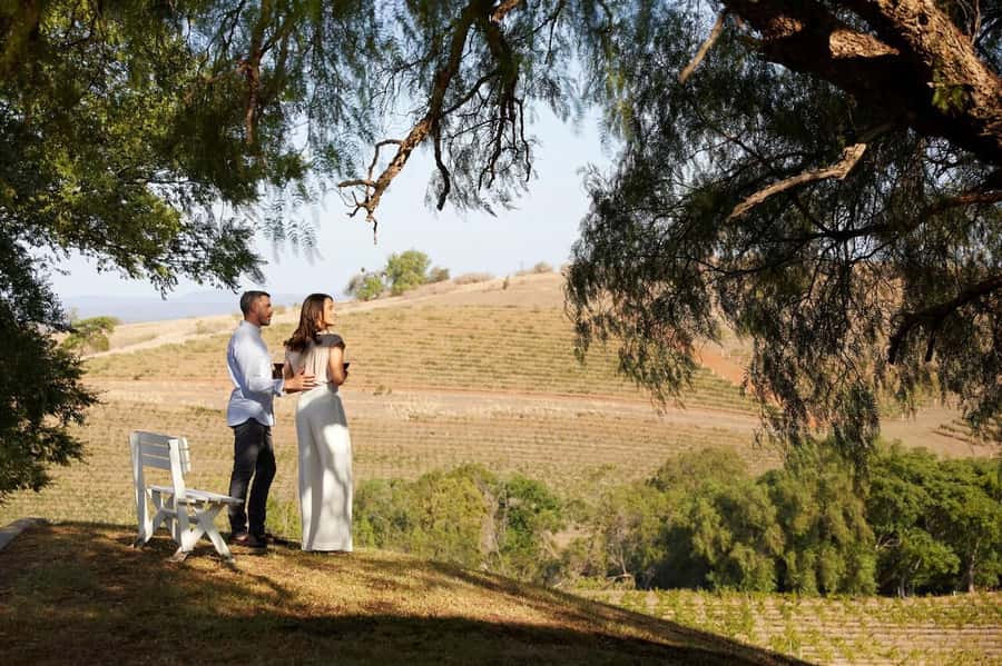 Hunter Valley: Wine Tour with 3 Tastings and Garden Lunch - Cypress Lakes lunch with a Hunter Valley view
