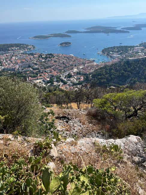 Hvar: Hvar Wine Tasting Experience - Key points at a glance