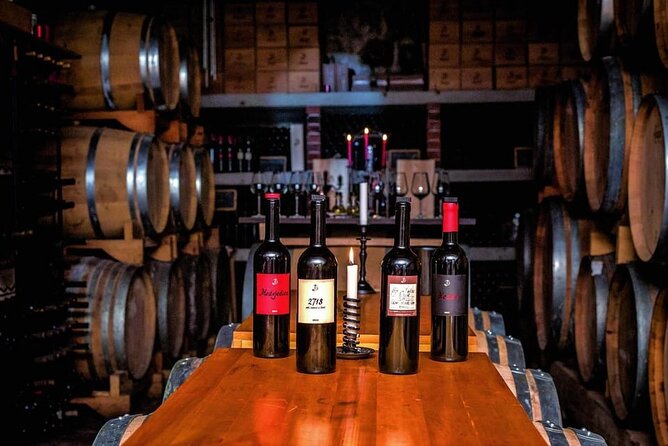 Hvar: Island tour with Wine and Olive Oil Tasting - The olive oil tasting is more than an extra