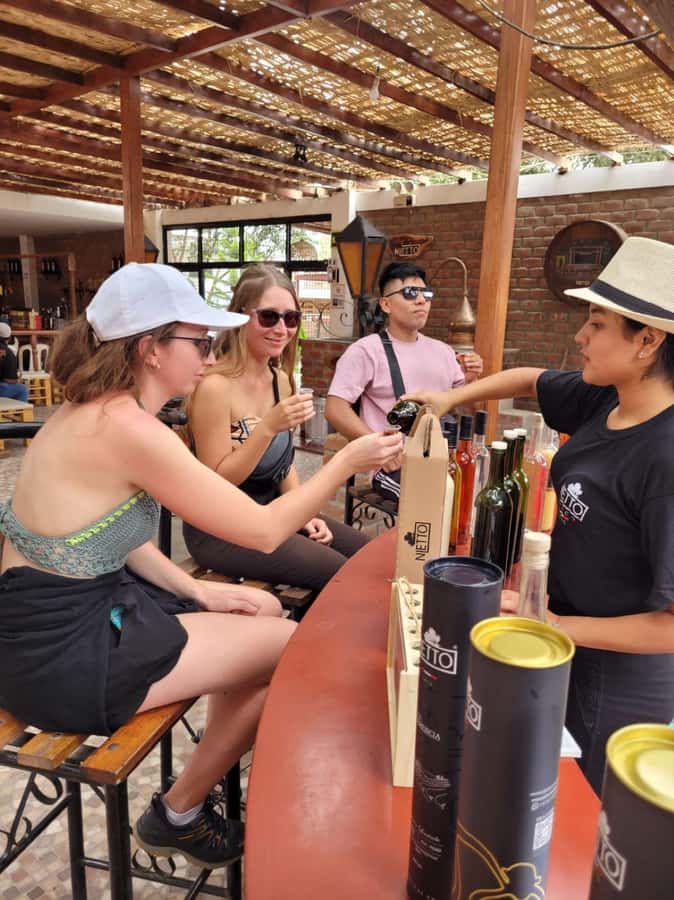 ICA: Pisco and Wine Route with tasting in 03 Wineries - Vineyard time and the 15-minute transfers