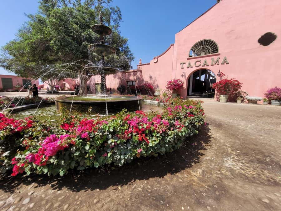 ICA: Pisco and Wine Route with tasting in 03 Wineries - The second tasting and local pairings