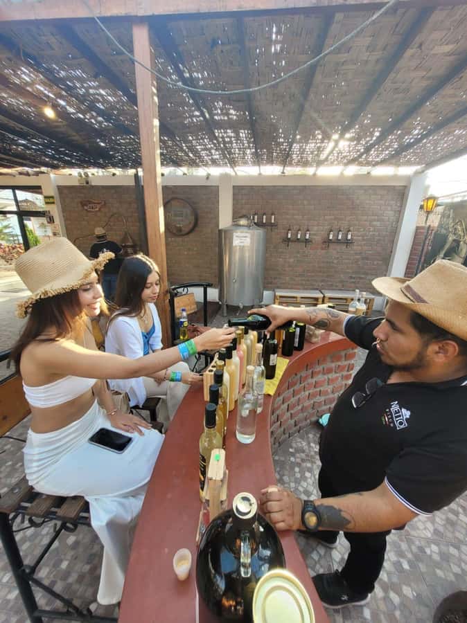 ICA: Pisco and Wine Route with tasting in 03 Wineries - Lunch is useful, but budget for it