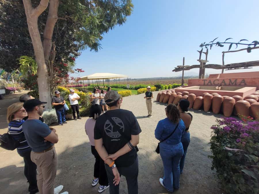 ICA: Pisco and Wine Route with tasting in 03 Wineries - What the $29 price really buys you