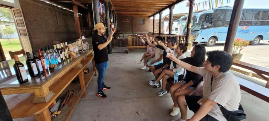 ICA: Pisco and Wine Route with tasting in 03 Wineries - The guide can shape the day