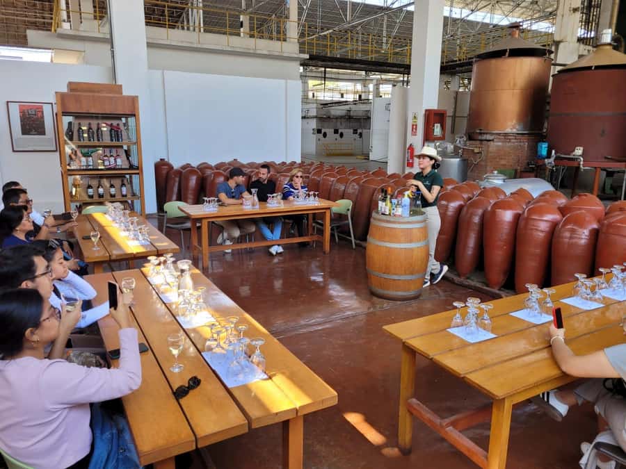 ICA: Pisco and Wine Route with tasting in 03 Wineries - Pickup from Ica or Huacachina