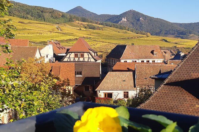 ICONICS Tour: 1/2 day on the Wine Route, visit of 2 Villages + Tasting. - Hunawihr: a quieter first stop