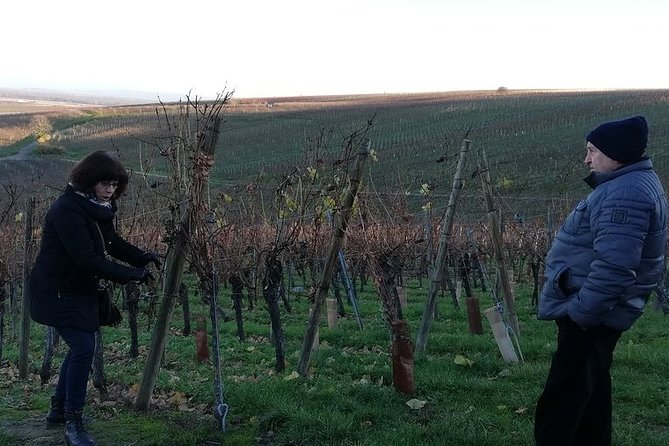 ICONICS Tour: 1/2 day on the Wine Route, visit of 2 Villages + Tasting. - What you will taste, and what you will not get