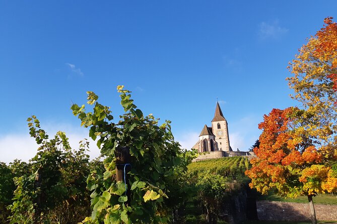 ICONICS Tour: 1/2 day on the Wine Route, visit of 2 Villages + Tasting. - Anna’s guiding style