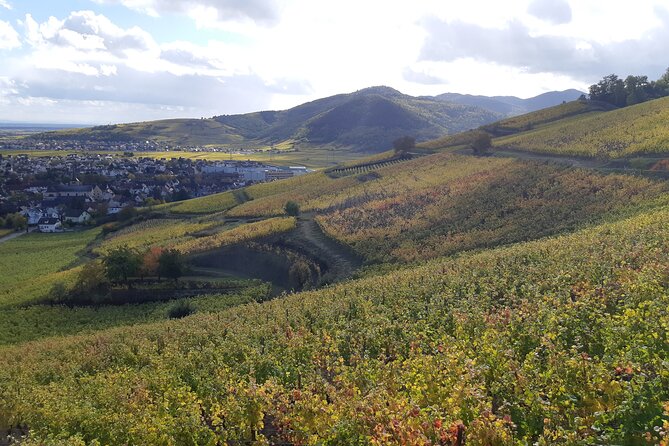 ICONICS Tour: 1/2 day on the Wine Route, visit of 2 Villages + Tasting. - Meeting point, timing, and cancellation details
