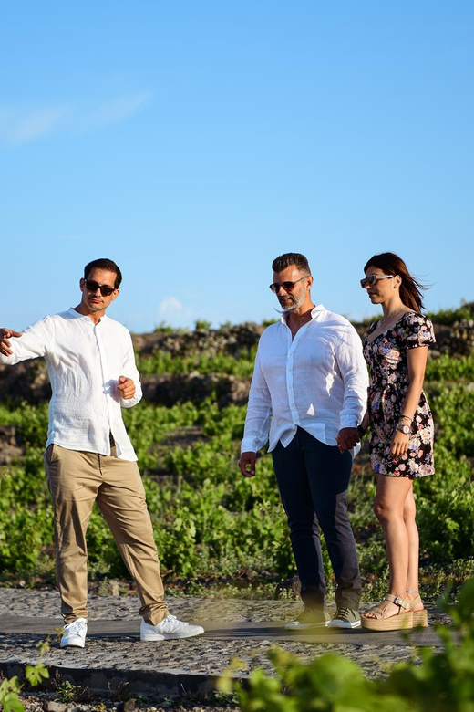 Imerovigli: Premium Wine Tasting with Caldera and Sea Views - Chris, Yiannis, and the value of good guiding