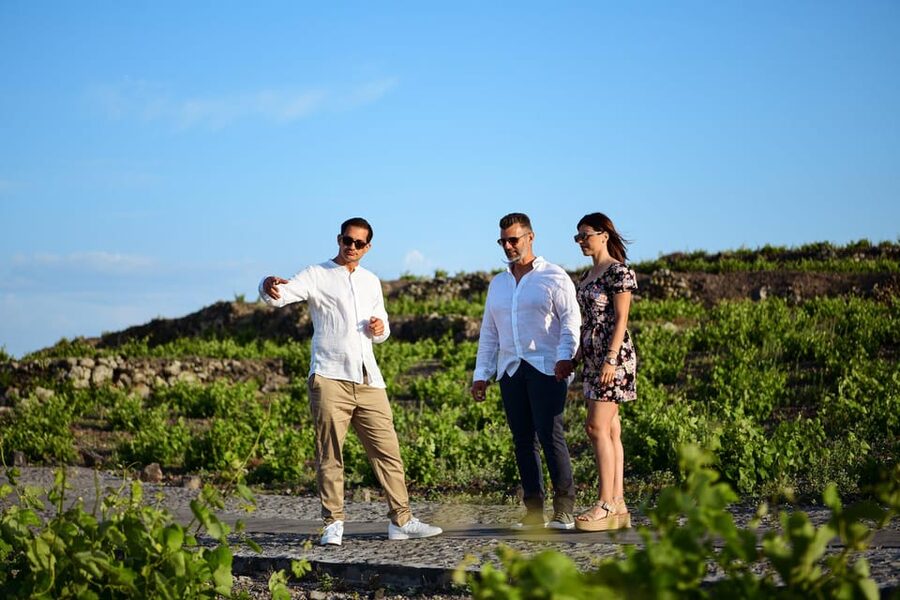 Imerovigli: Premium Wine Tasting with Caldera and Sea Views - What to expect from the two-hour schedule