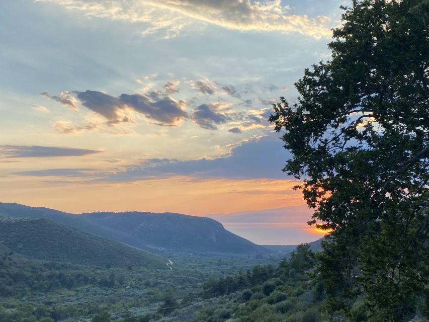 Jeep Safari in Thassos Mountain with picnic fruits & wine - Who should book this Thassos safari?