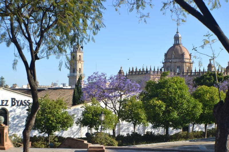 Jerez: 1.5-Hour Sherry Winery and Tasting Tour - Timing, access, and what to bring