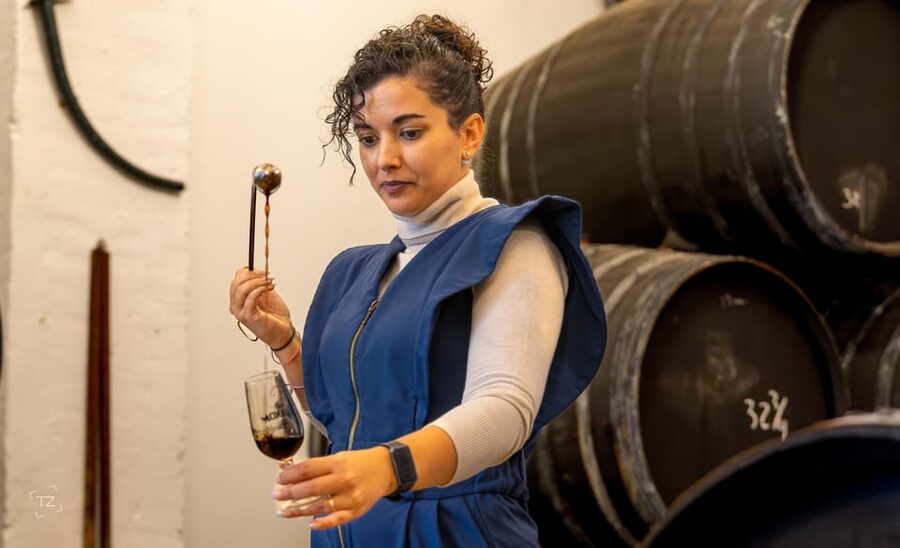 Jerez: Bodegas Álvaro Domecq Guided Tour with Wine Tasting - Who will enjoy this 90-minute visit