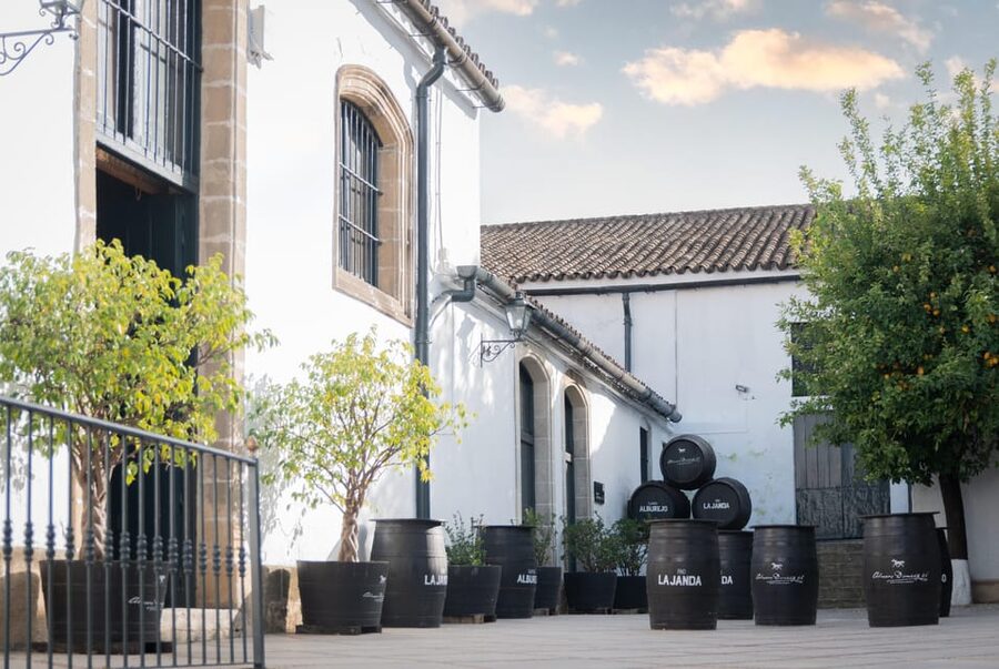 Jerez: Bodegas Álvaro Domecq Guided Tour with Wine Tasting - How sherry ages in the solera and criaderas system