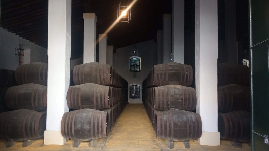 Jerez de la Frontera: Sherry Winery Tour with Tasting - Barrels, aging, and the smaller-bodega advantage