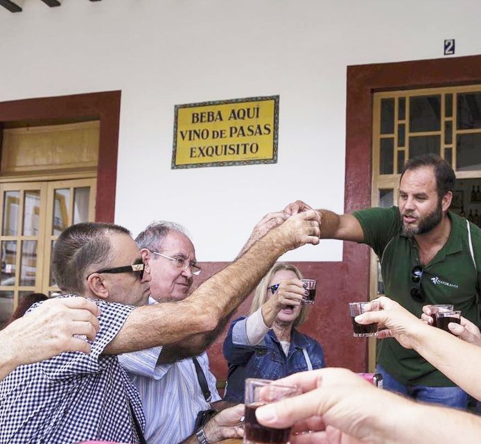Jerez: Guided Winery Tour with Wine Tasting - Why Cayetano del Pino is a useful introduction to Jerez wine