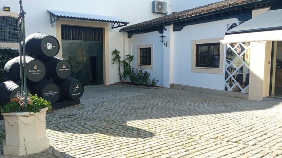Jerez: Guided Winery Tour with Wine Tasting - Who should book this winery visit