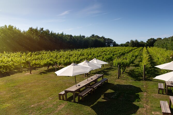 Jersey Premium Vineyard and Distillery Wine Tour and Tasting - Inside the Cognac-style distillery