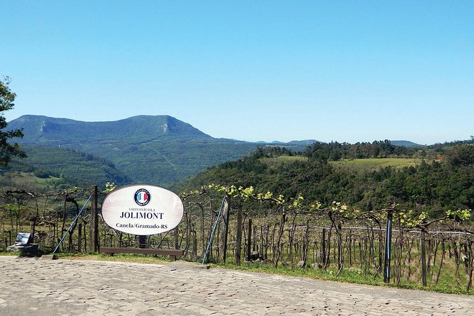 Jolimont Winery Tour - Visitation and Tasting - Canela RS - Booking details that can prevent a bad start
