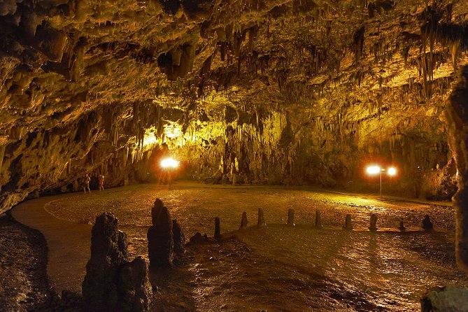 Kefalonia Island Bus Tour- Wine Tasting, Melissani & Fiscardo - The guide makes a real difference