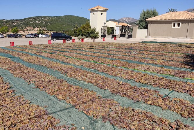 Kefalonia: Private Olive Oil, Honey & Wine Tasting Experience - What the $90.11 price buys you