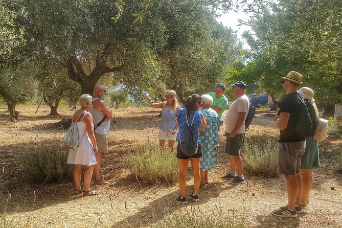 Kefalonia: Private Olive Oil, Honey & Wine Tasting Experience - Booking details and cancellation