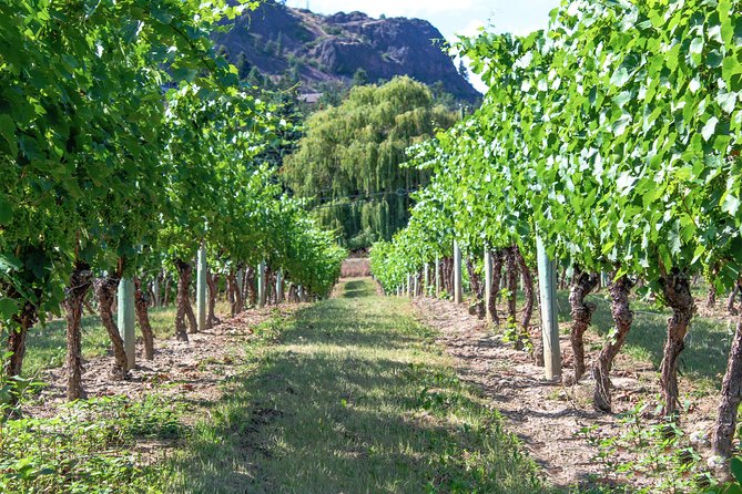 Kelowna or West Kelowna Afternoon Sightseeing Wine Tour - Why the guide and van matter