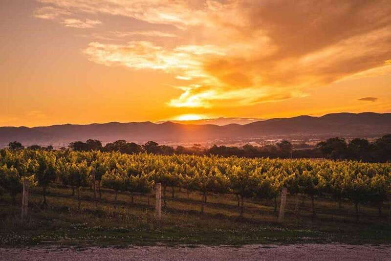 Kelowna: Sunset Sip Wine Tour - Book it for the sunset, not just the samples