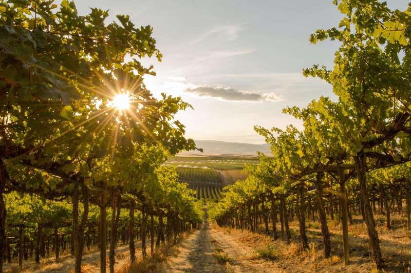 Kelowna: Sunset Sip Wine Tour - Pickup details deserve attention