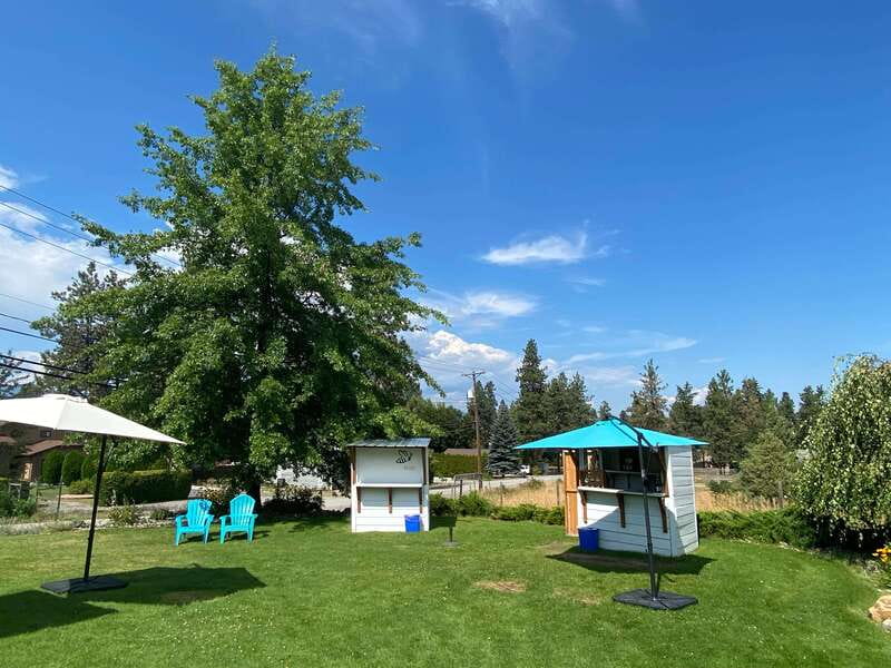 Kelowna: Wine Tasting by E-bike, Smartphone Guide & Lunch - Lunch and honey bees at Meadow Vista
