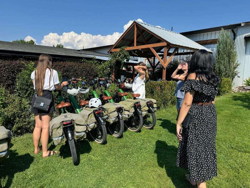 Kelowna: Wine Tasting by E-bike, Smartphone Guide & Lunch - What the $125 price includes