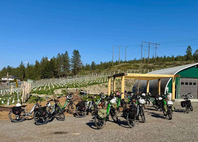 Kelowna: Wine Tasting by E-bike, Smartphone Guide & Lunch - Starting at Lakeside Eco-Sports