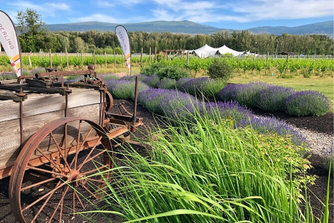 Kelowna Wine Tour by E-bike, Okanagan Valley Views and Lunch - Key details before you book