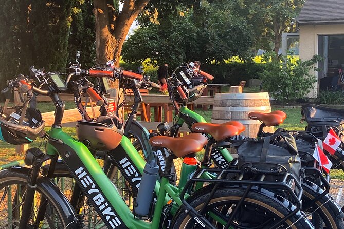 Kelowna Wine Tour by E-bike, Okanagan Valley Views and Lunch - Starting downtown and riding past Gyro Beach