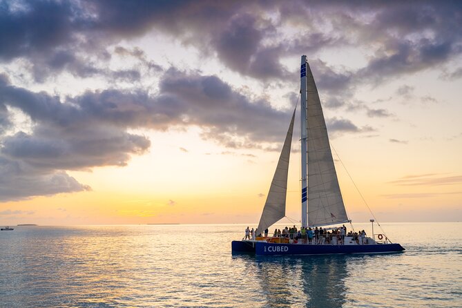 Key West Champagne Sunset Catamaran Cruise - Wildlife, wind, and the practical side of the ride